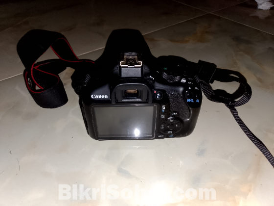 1300D with 55mm prime lens